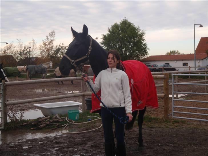 Anden særlig race Black Pearl billede 6