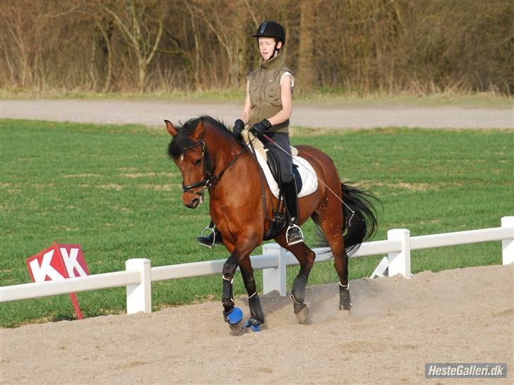 DSP Farinelle II   *R.I.P* billede 19