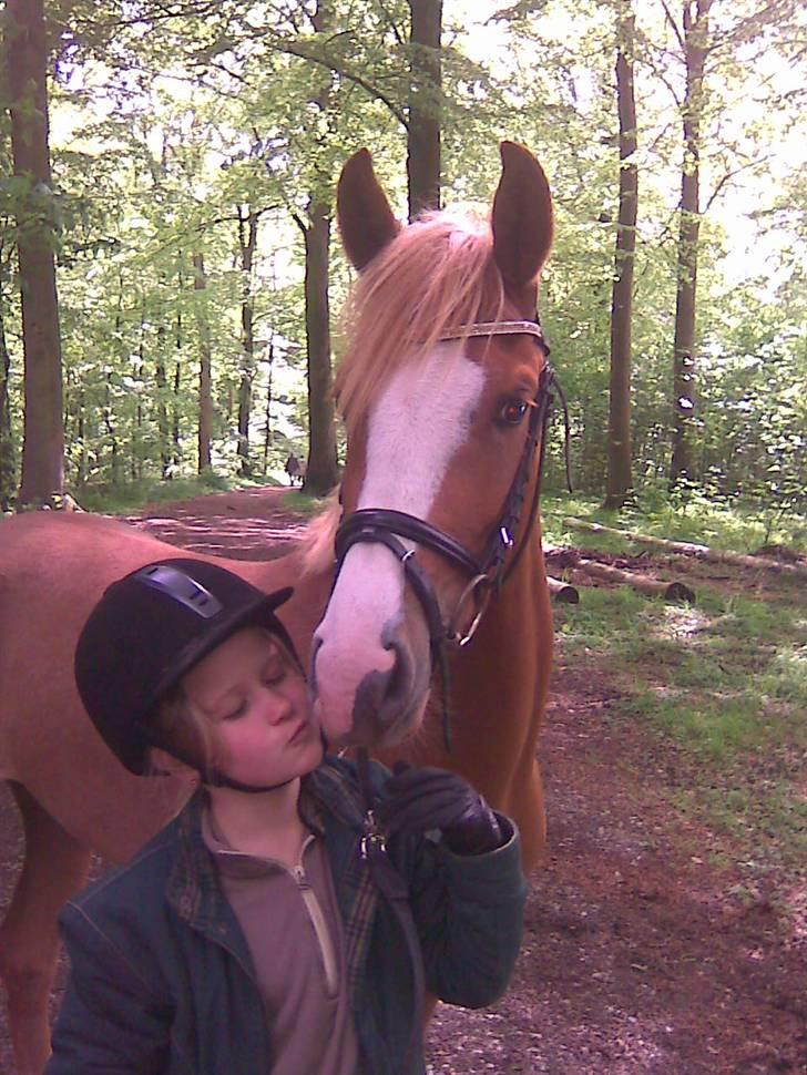 DSP Kentris Afrodite SRSDH billede 11