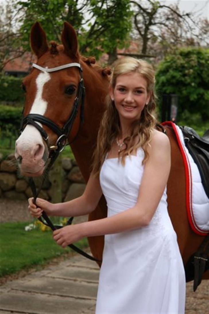 Tysk Sportspony Nathan R.I.P.  - Nalle kom op til kirken :D billede 19