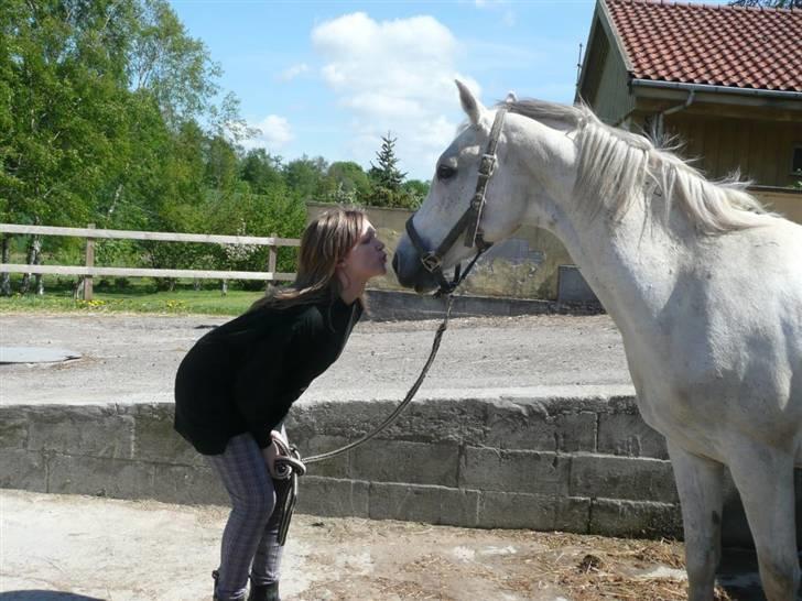 Anden særlig race Jovan - møsmøs! billede 6