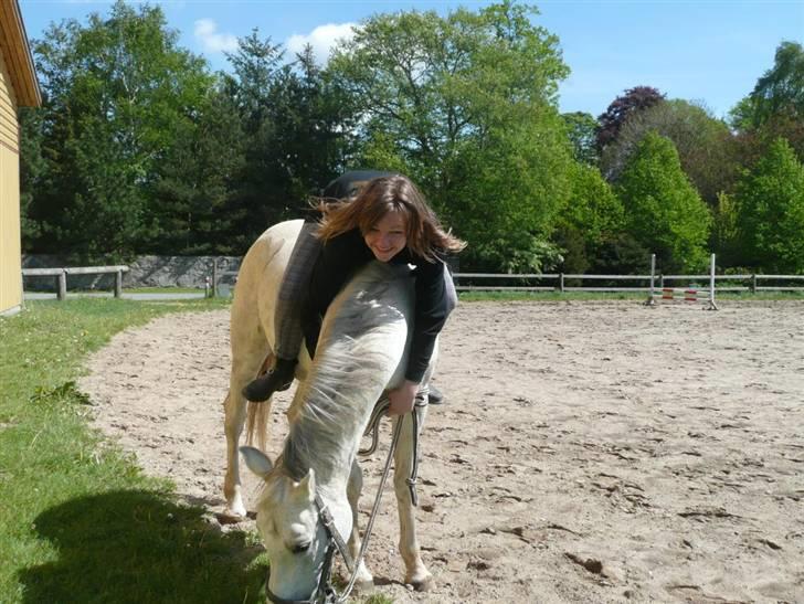 Anden særlig race Jovan - nurhh, dejlige hest *lige indtil der var græs, hehe ;D billede 7