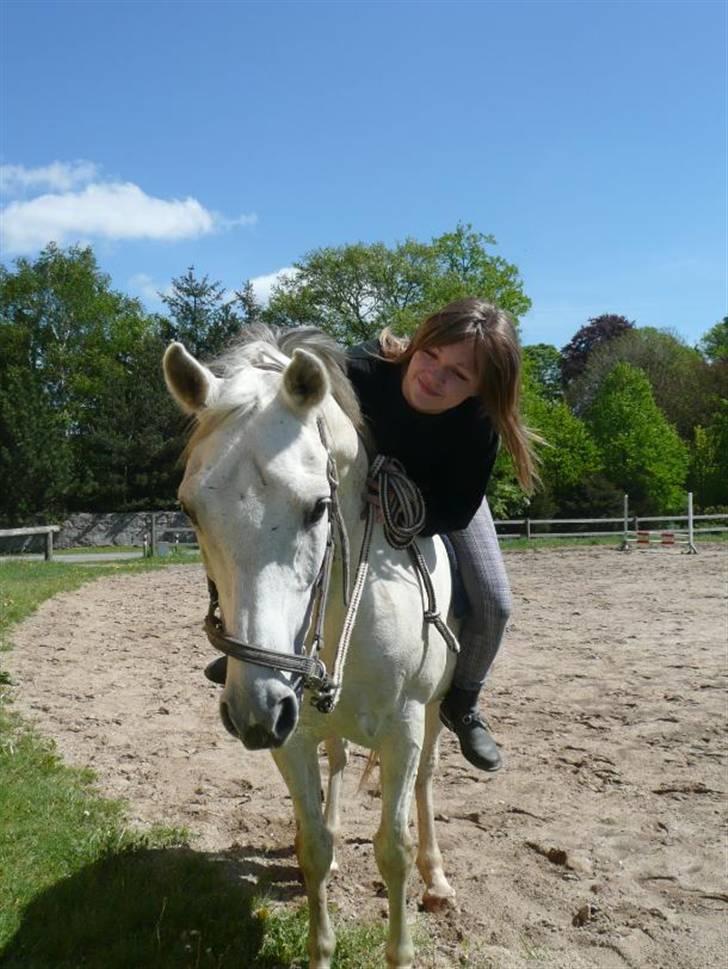 Anden særlig race Jovan - uhh, nye ting - farligt!:D billede 8
