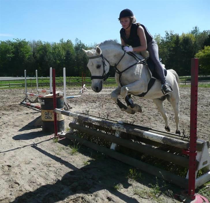 Anden særlig race Jovan - 2 gang var bedre :P billede 13
