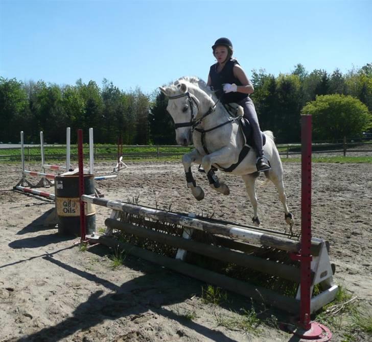 Anden særlig race Jovan - han har altid været bange for det! -rigtig rigtig bange ö! -og så var han meget tøvende, så sidder ret dårligt xD billede 14