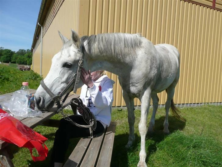 Anden særlig race Jovan - menneskermad, ummhh xD billede 16