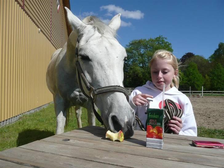 Anden særlig race Jovan - ´find æblet jagt´ :D billede 17