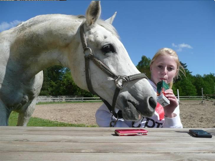 Anden særlig race Jovan - hvorfor en mobil skal jeg mon vælge?!?!?! :D billede 18