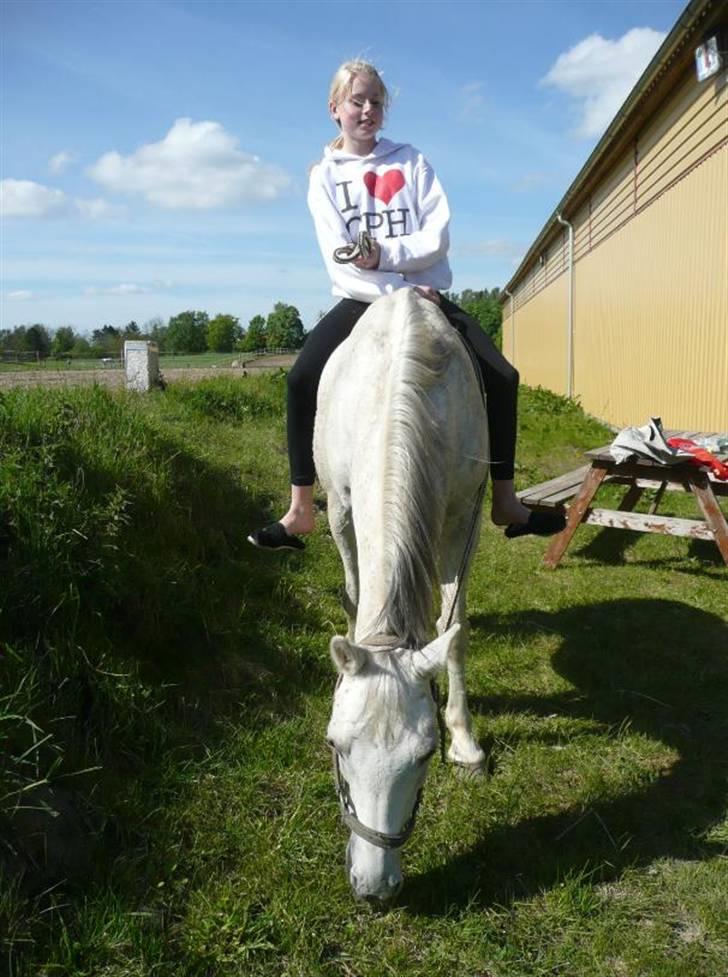 Anden særlig race Jovan - Sarah&Juvan -jeg elsker jer!<3 billede 19
