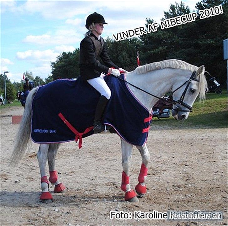 Dansk Varmblod - Rex. - Rex og jeg, efter Nibe Cup 2010.(: billede 2