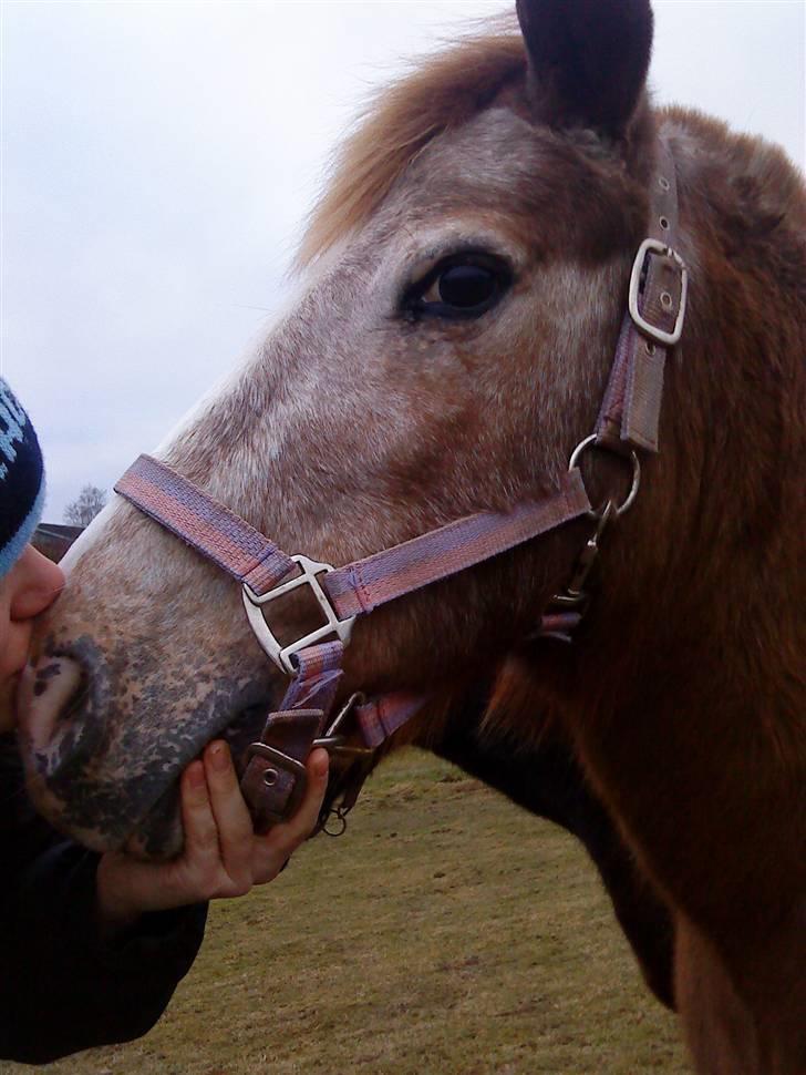 Anden særlig race lone<3 R.I.P. - jeg elsker dig skat<3 billede 10