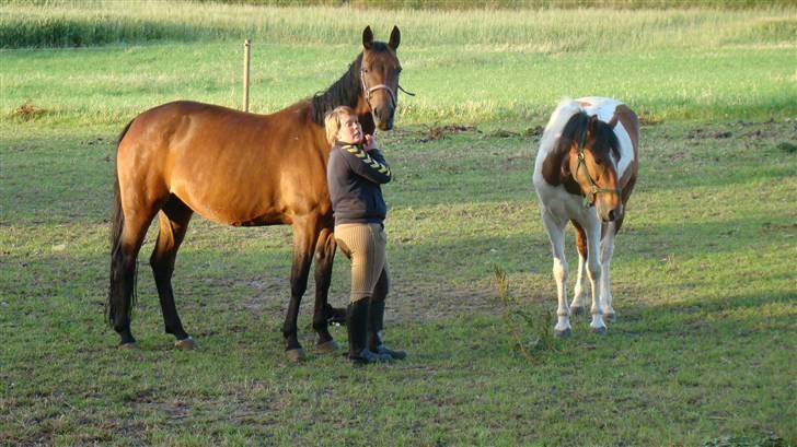 Traver AnneRikke Neergård SOLGT billede 11