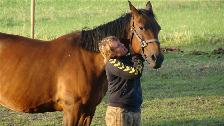 Traver AnneRikke Neergård SOLGT billede 13
