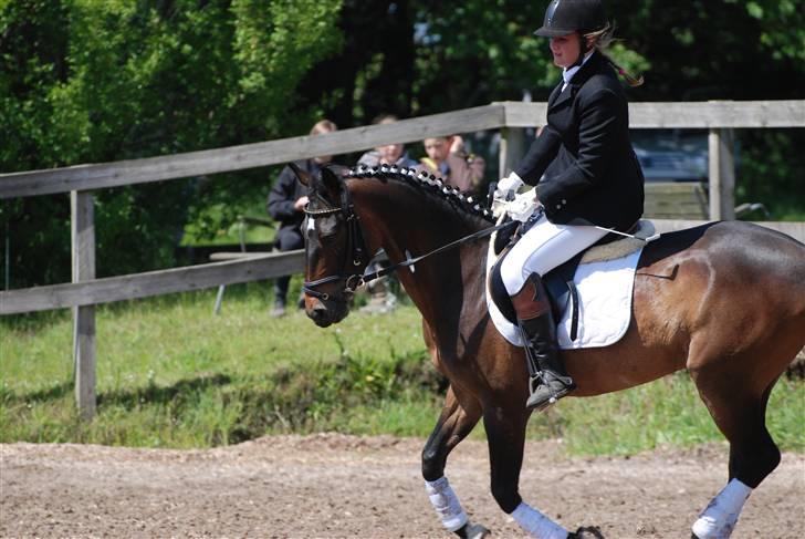 Tysk Sportspony Tequila  - Dressur stævne 09 billede 12