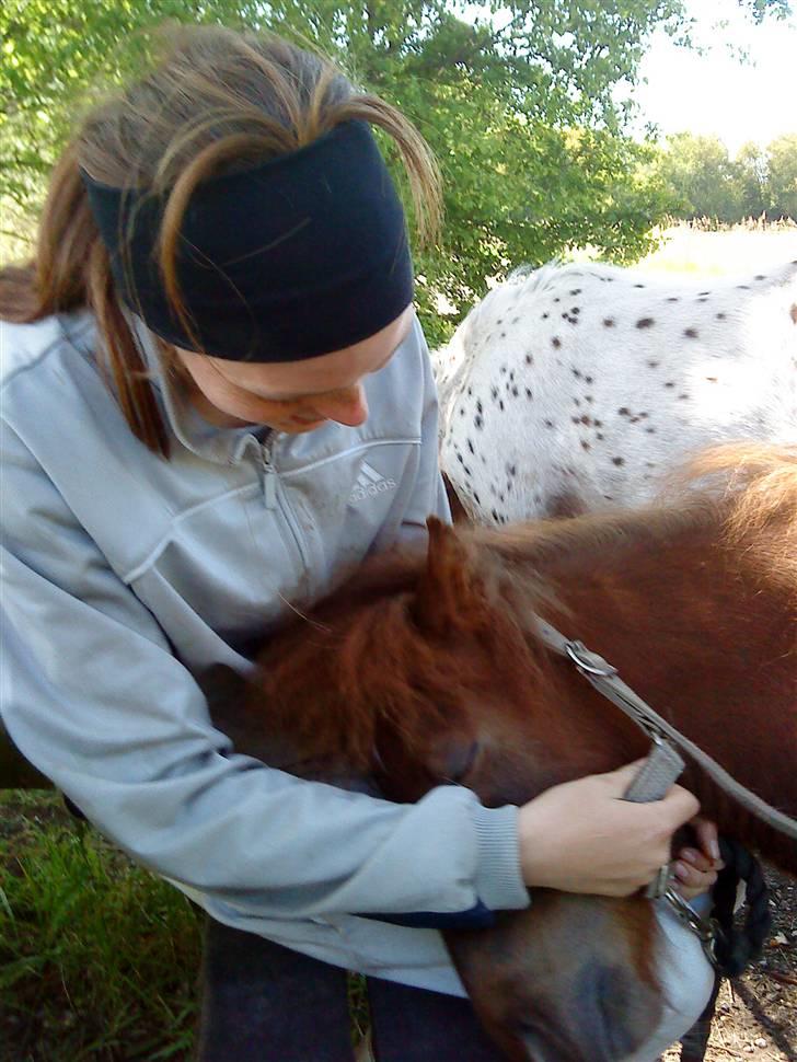 Anden særlig race Cirkeline - Fantastisk krammer vi fik os. (Billed Louise.) billede 9