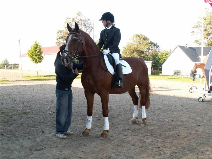 Anden særlig race Valentin billede 18