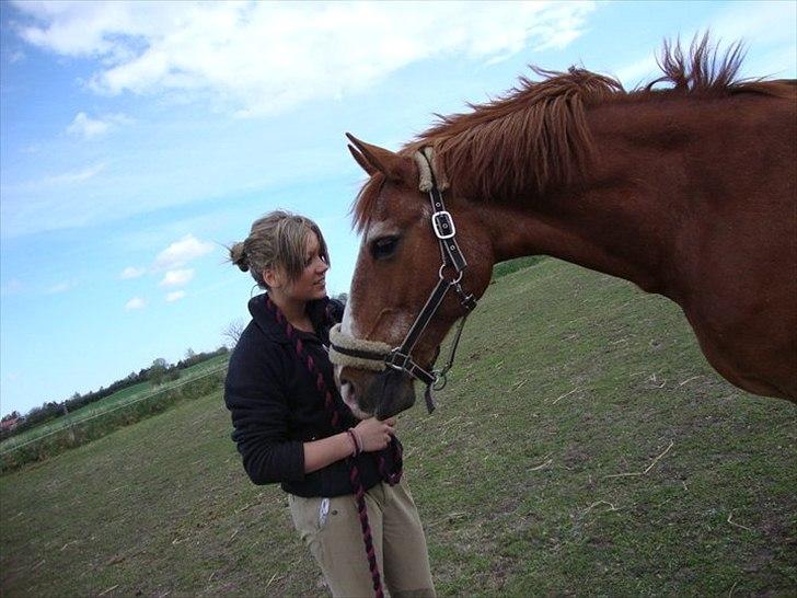 Anden særlig race Valentin - . billede 20