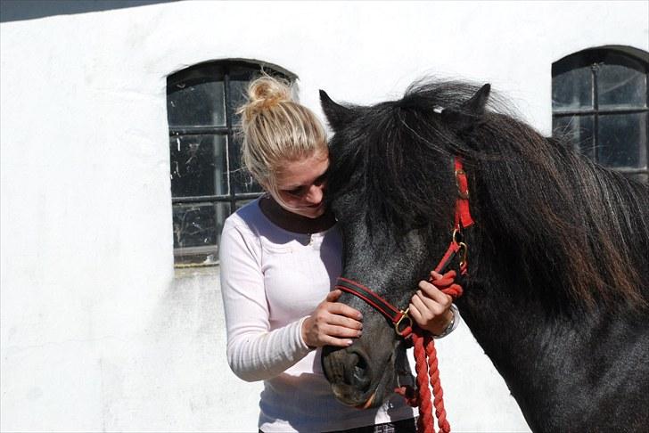 Islænder Tarzan Jr. Fra Diisa - Tarzans & Birger 2010 <3 billede 9