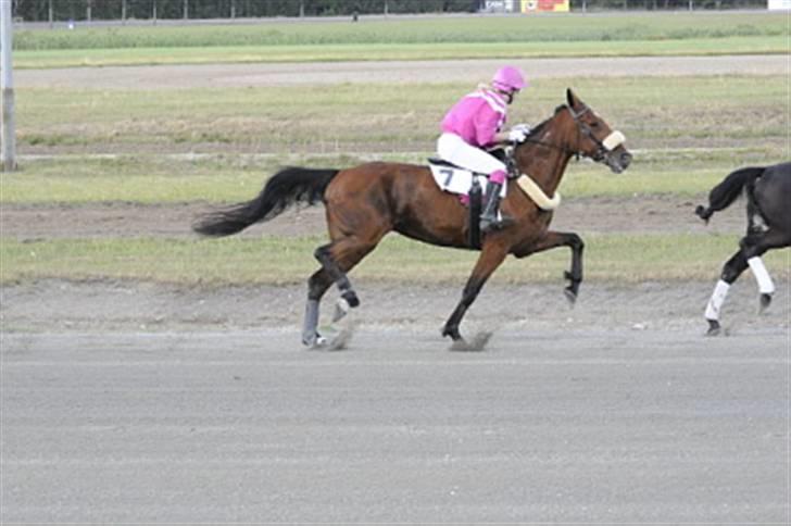 Traver Grev Svanemosen - her får vi en flot 2 pl i billund billede 10