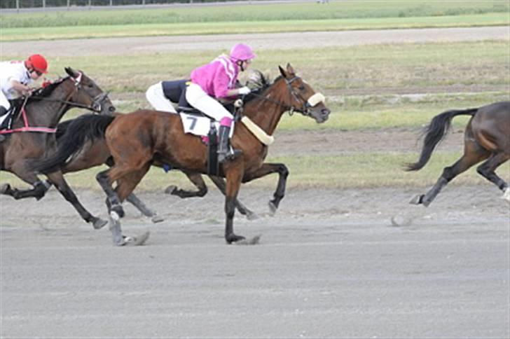 Traver Grev Svanemosen - vi kommer længer og længer frem... billede 11