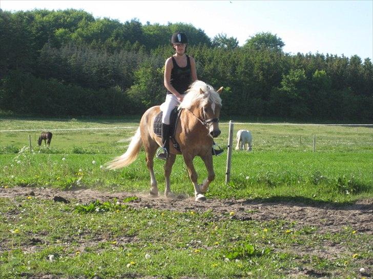 Anden særlig race Nemo Bit billede 8