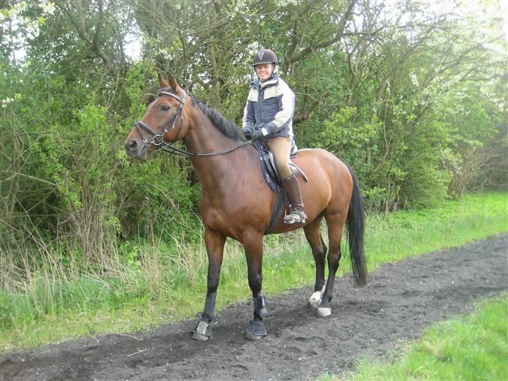 Oldenborg Mon Cherie billede 13