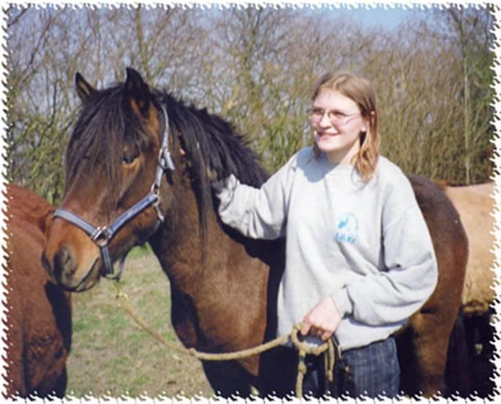 Islænder Skörungur f. lille nørregård[himmelhest] - Ja det er så min hest og jeg selv :-) synes selv det er et godt billede :-D billede 2