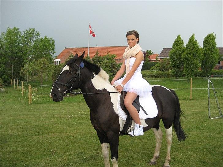 Hollandsk Sportspony Kees * SOLGT* - MiN KONFiRMATiON <3 billede 11