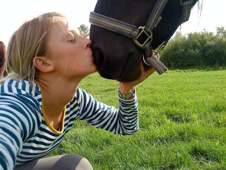 Islænder Gáski fra Rolandsgården - Gammelt billede, men sødt. billede 2