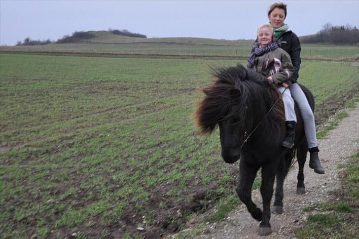 Islænder Gáski fra Rolandsgården - Lillesøster og jeg på tur :) billede 4