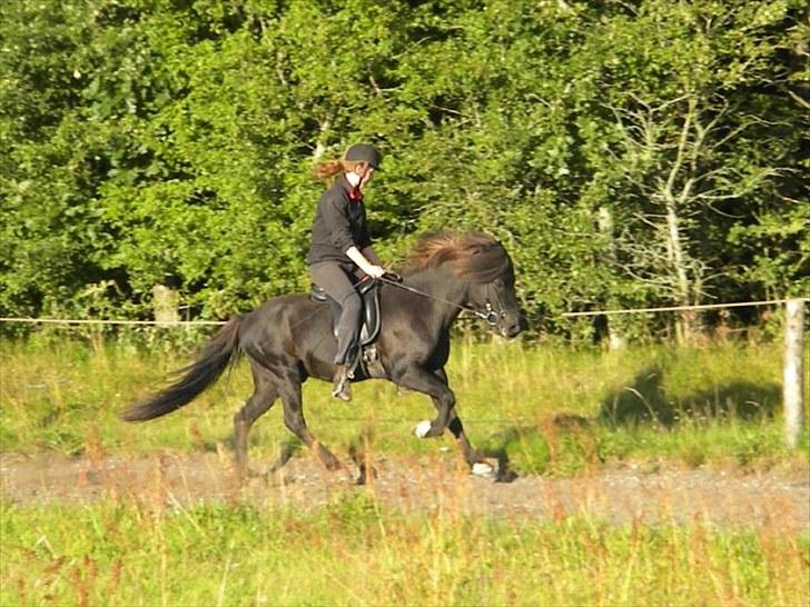 Islænder Gáski fra Rolandsgården - Galop til Ganti´s træningsstævne ´10. Min opstilling er rettet! billede 6