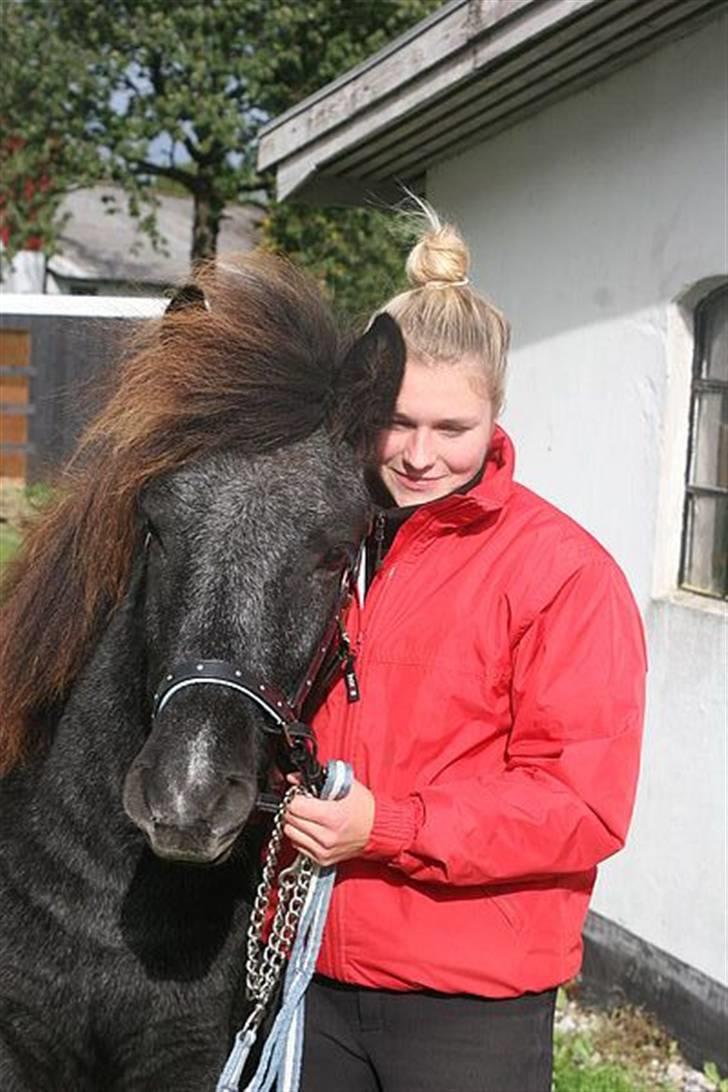 Islænder Tarzan Jr. Fra Diisa - Mig og Tarzan ! <3 Jeg elsker virkelig denne her hest højt min ynglings Tarzan !!  billede 12