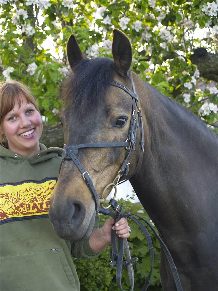 DSP Tiger R.I.P. - Tiger og min søster billede 17