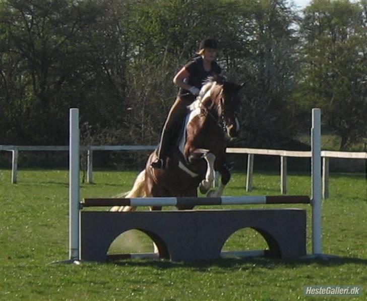 Anden særlig race BOJARD - muuur!.. Foto: Nana Pabst billede 13