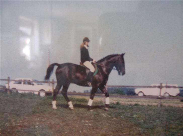 Oldenborg Lux  RIP billede 20