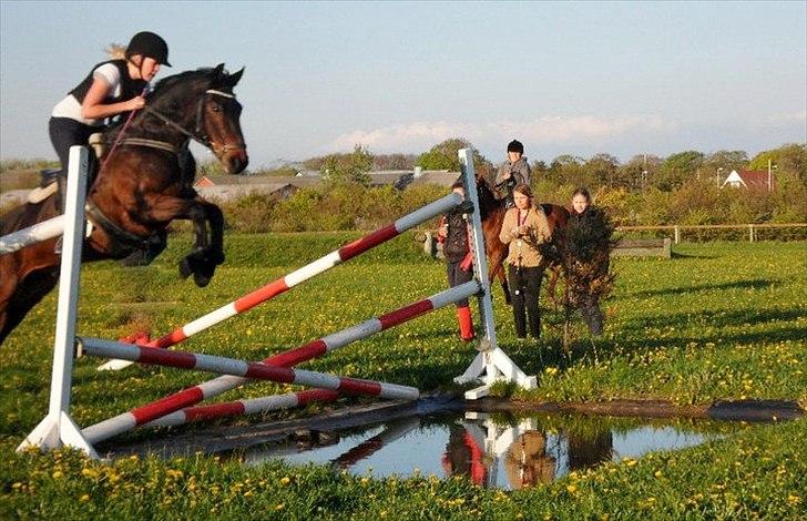 Anden særlig race Yasya <3 - 2011 - Og ja, han kom helt over! :-) billede 14