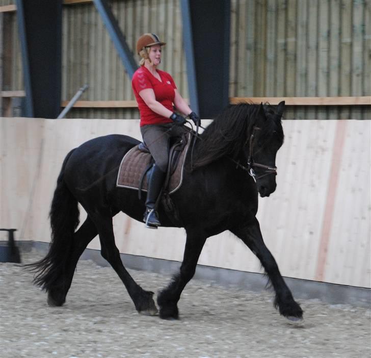 Frieser Eline Bouwkje B. billede 3