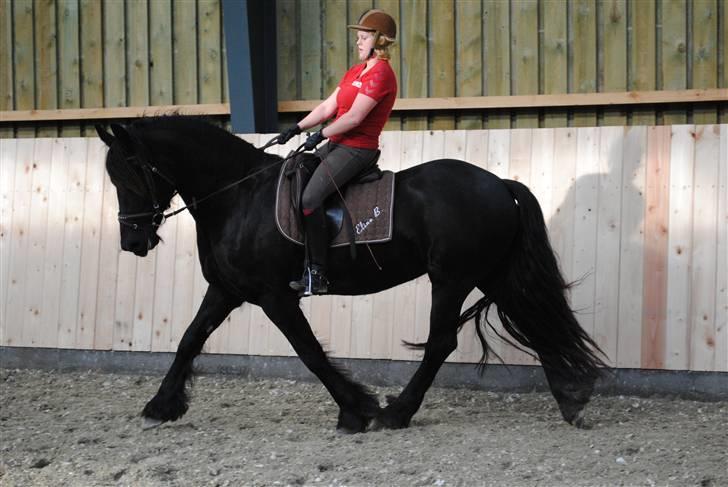 Frieser Eline Bouwkje B. billede 4
