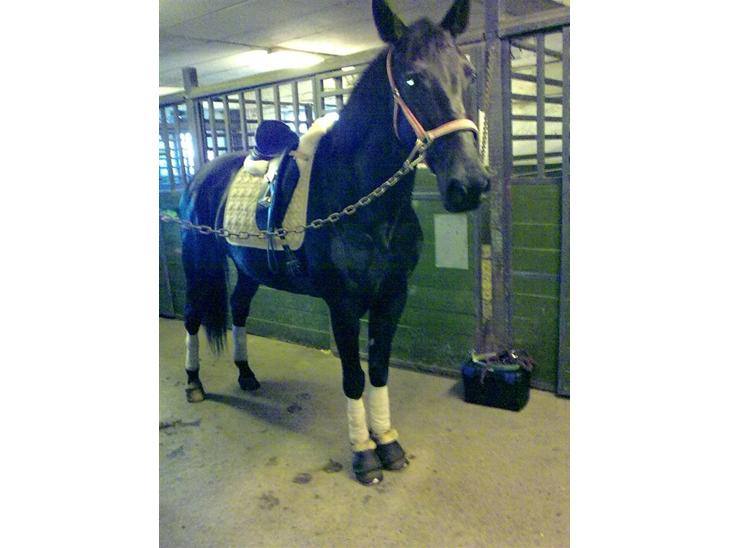 {{currentPhoto.altText}} billede {{currentPhoto.number}}