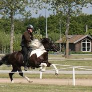 Islænder Freisting fra Varmadal