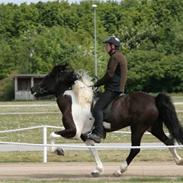 Islænder Freisting fra Varmadal