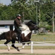 Islænder Freisting fra Varmadal