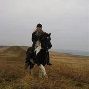 Islænder Freisting fra Varmadal