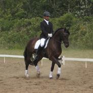 Anden særlig race Luis