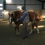 Frederiksborg Abida Gry