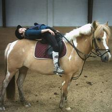 Anden særlig race Sørøver Sally *SOLGT*