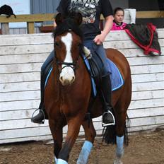 DSP Haahr's Fantasilie solgt