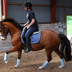 DSP Haahr's Fantasilie solgt