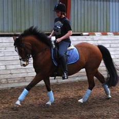 DSP Haahr's Fantasilie solgt