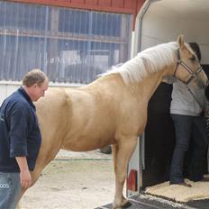 Quarter Zip Skip Sunshine